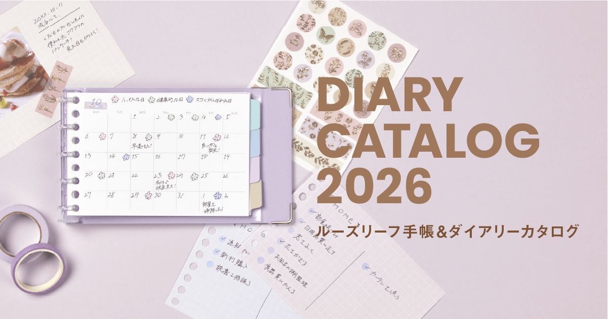 激レア】アメリカンフットボール手帳 maruman DETROIT LIONS