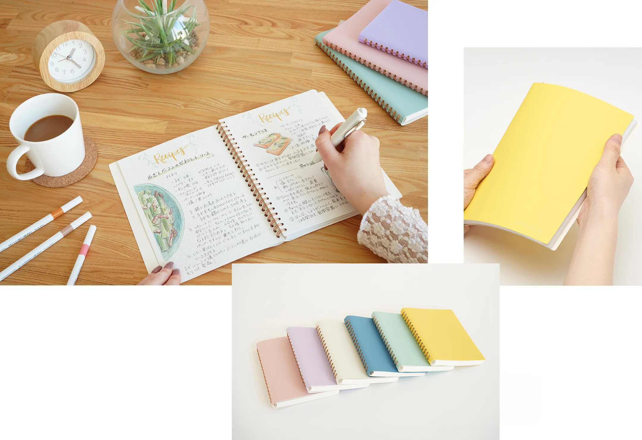 SEPTCOULEUR 機能イメージ