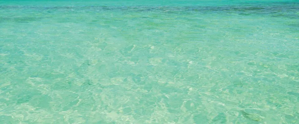 Image: SEPTCOULEUR Comfort Mint