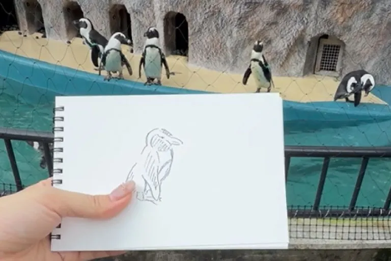 「動物園でスケッチ」に挑戦