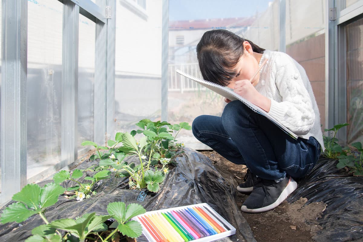 小学生・中学生が自由研究を上手にまとめるポイント