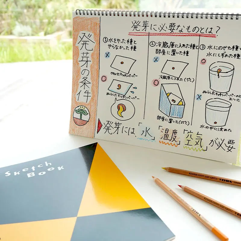 「自由研究のまとめ方」のコツを解説!スケッチブックなら伝わりやすい作品に 「自由研究のまとめ方」のコツを解説!スケッチブックなら伝わりやすい作品に