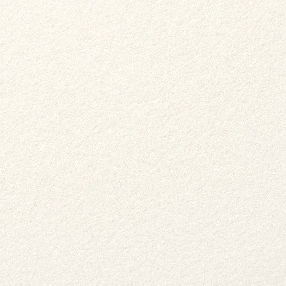 サマセット　ベルベット　ソフトホワイト　