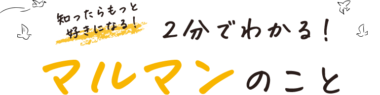 知ったらもっと好きになる！2分でわかる！マルマンのこと