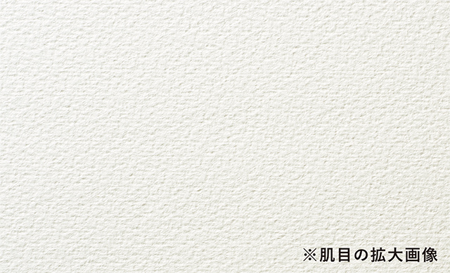 肌目の拡大画像
